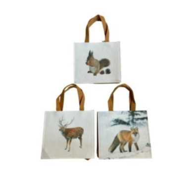 SAC CADEAUX H21X19X5CM