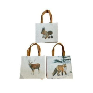 SAC CADEAUX H21X19X5CM