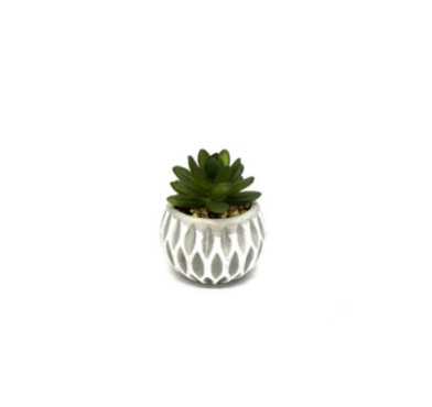 LOT DE 2 PLANTES ARTIFICIELLES