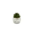 LOT DE 2 PLANTES ARTIFICIELLES
