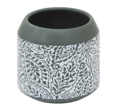 PORTE BROSSE A DENTS ARBORIA