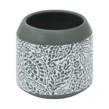 PORTE BROSSE A DENTS ARBORIA