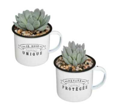 PLANTE ARTIFICIELLE DANS MUG