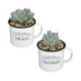 PLANTE ARTIFICIELLE DANS MUG