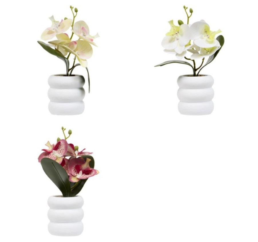 ORCHIDEE DANS SON POT BLANC