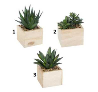 PLANTE ARTIFICIELLE DANS SON