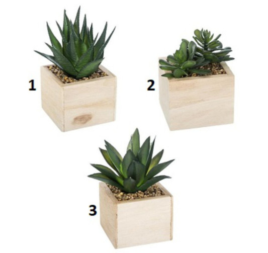 PLANTE ARTIFICIELLE DANS SON