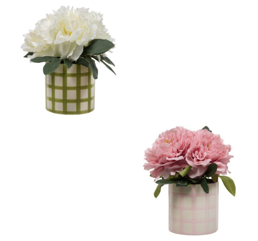 COMPOSITION DE PIVOINES