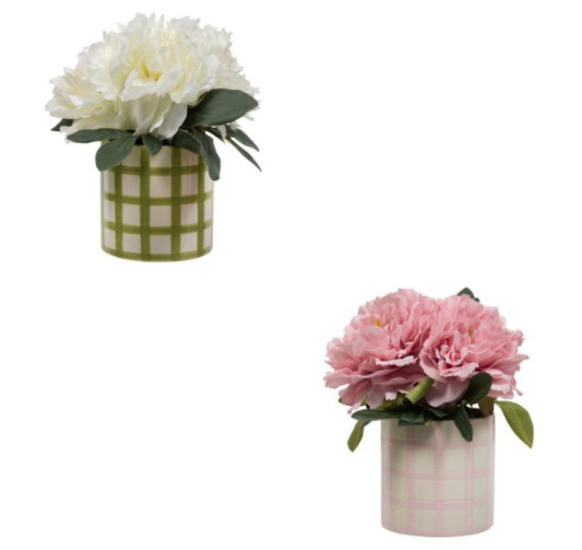 COMPOSITION DE PIVOINES