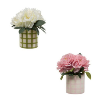 COMPOSITION DE PIVOINES