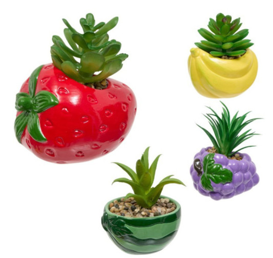 PLANTE FRUITY MODELES DIVERS