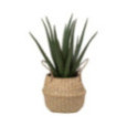 ALOE VERA ARTIFICIEL DANS POT