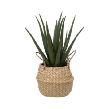 ALOE VERA ARTIFICIEL DANS POT