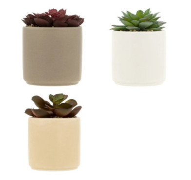 PLANTE GRASSE ARTIFICIELLE