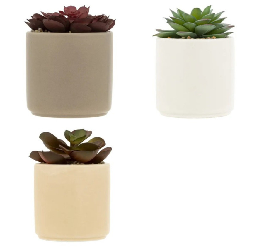 PLANTE GRASSE ARTIFICIELLE