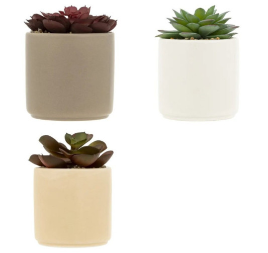 PLANTE GRASSE ARTIFICIELLE