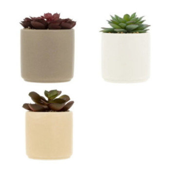 PLANTE GRASSE ARTIFICIELLE