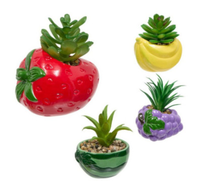 PLANTE FRUITY MODELES DIVERS
