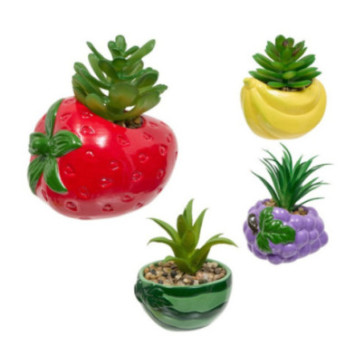 PLANTE FRUITY MODELES DIVERS