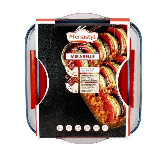 LOT 2 PLATS CARRES 28 ET 22CM