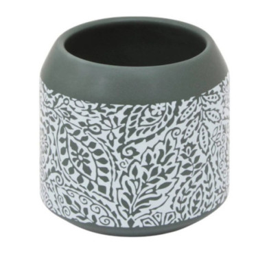 PORTE BROSSE A DENTS ARBORIA