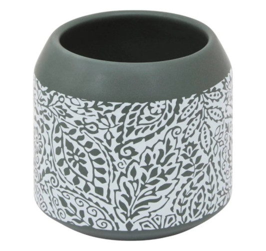 PORTE BROSSE A DENTS ARBORIA