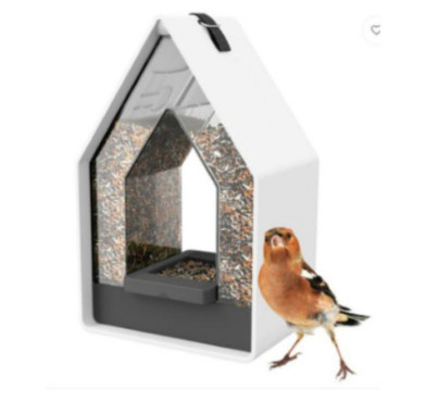 DISTRIBUTEUR GRAINES OISEAUX