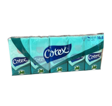 10 PAQUETS DE 10 MOUCHOIRS