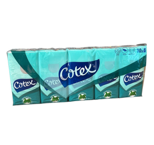 10 PAQUETS DE 10 MOUCHOIRS