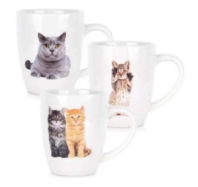 SET DE 3 MUGS CHAT 220ML