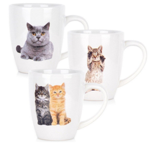 SET DE 3 MUGS CHAT 220ML