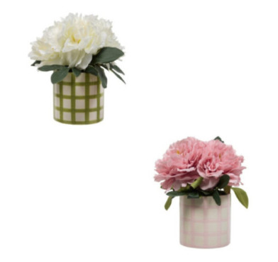 COMPOSITION DE PIVOINES