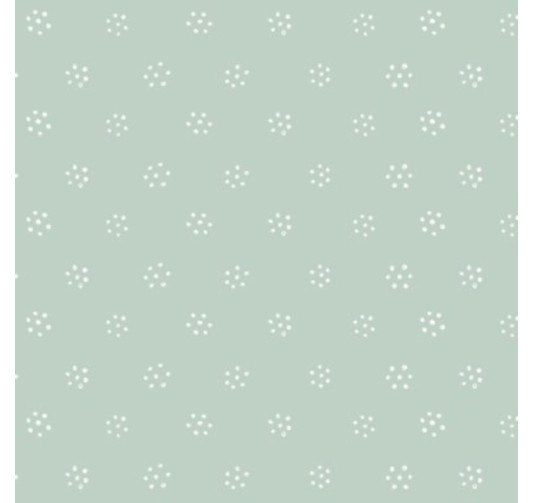 SERVIETTE PAPIER X30 PIECES