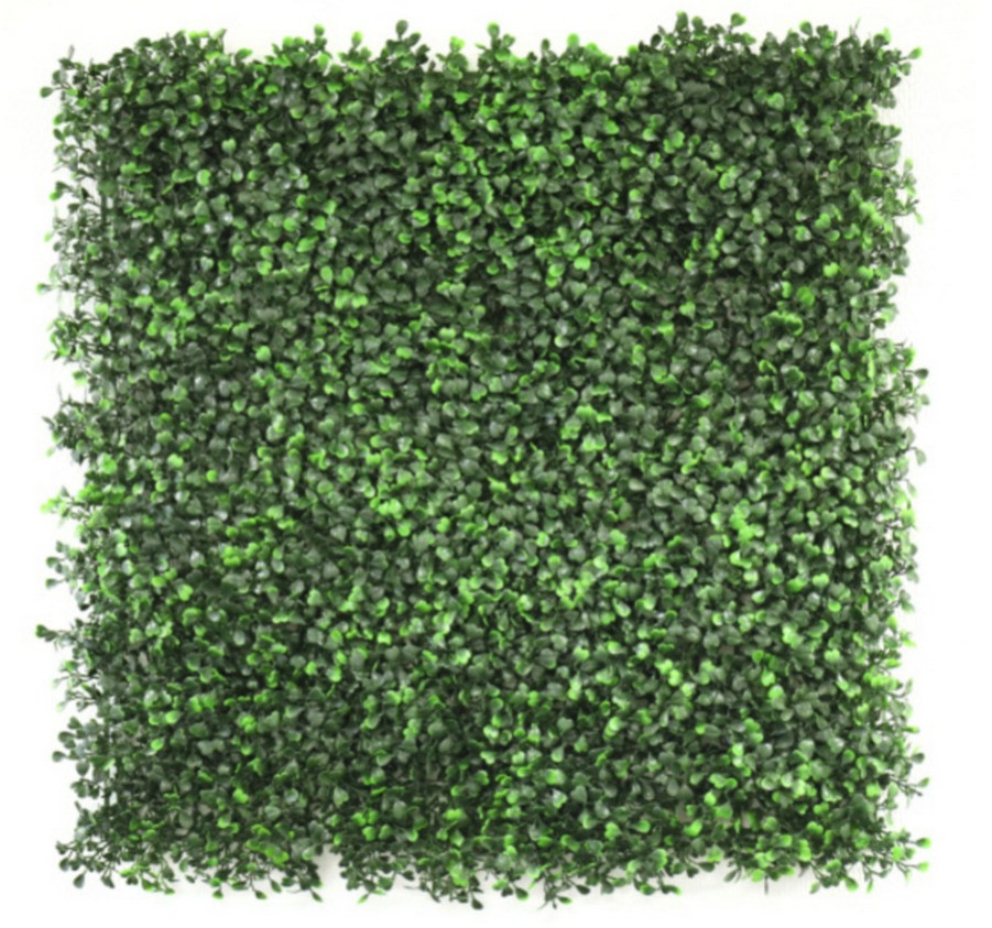 MUR VEGETAL BUIS - 50X50CM