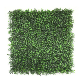 MUR VEGETAL BUIS - 50X50CM