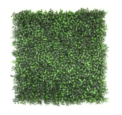 MUR VEGETAL BUIS - 50X50CM