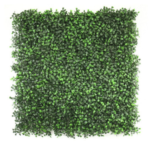 MUR VEGETAL BUIS - 50X50CM