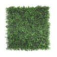 MUR VEGETAL BUIS - 50X50CM