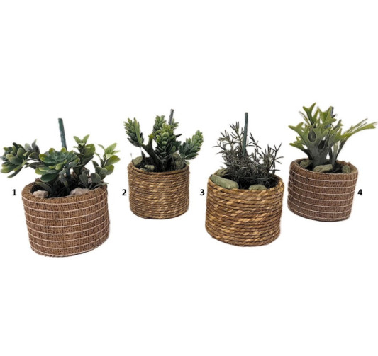 SUCCULENT POT NATUREL 9X9X15CM