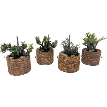 SUCCULENT POT NATUREL 9X9X15CM