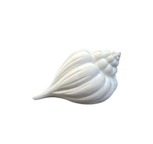 DECORATION COQUILLAGE BLANC