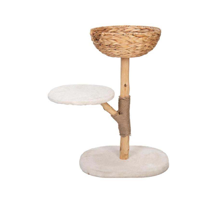 ARBRE A CHAT BRANCHE SECHEE