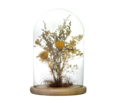 CLOCHE DECORATIVE ATMOSPHERA