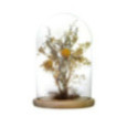 CLOCHE DECORATIVE ATMOSPHERA