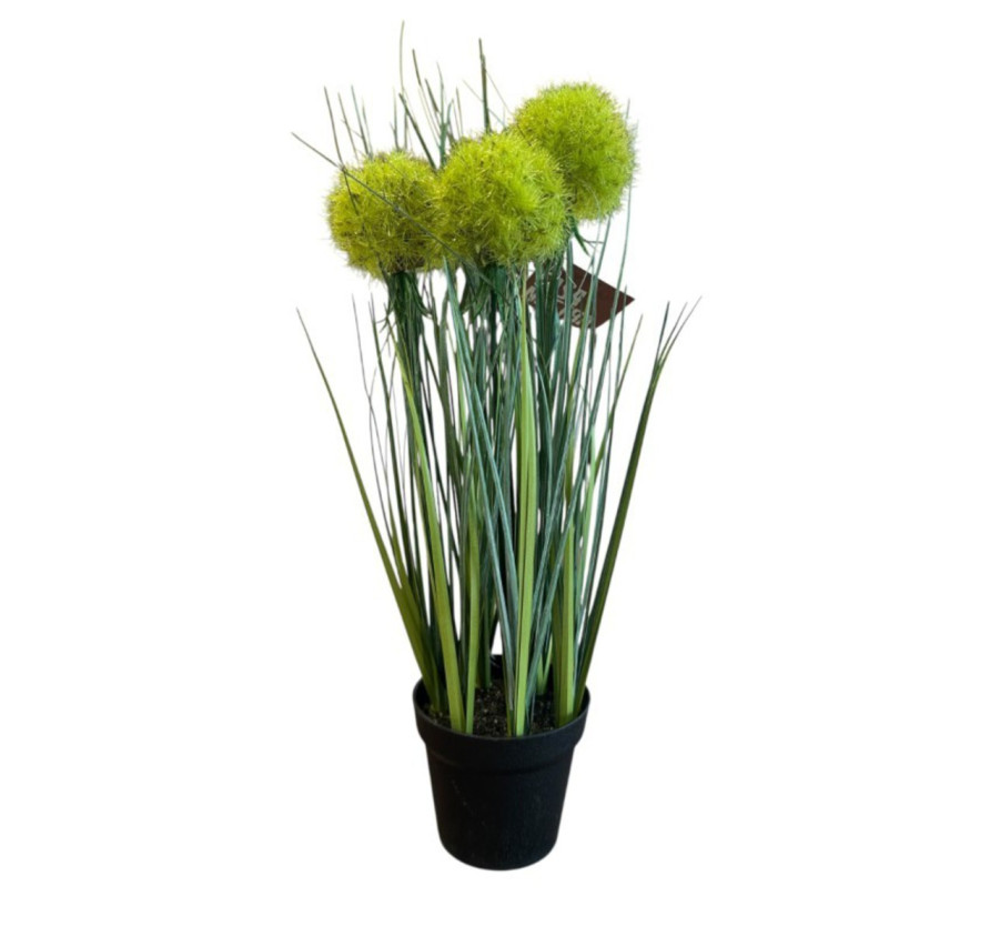 GRAMINEE AVEC SON POT H.34CM