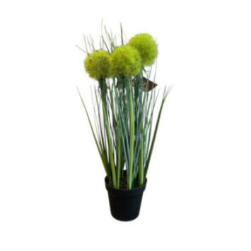 GRAMINEE AVEC SON POT H.34CM