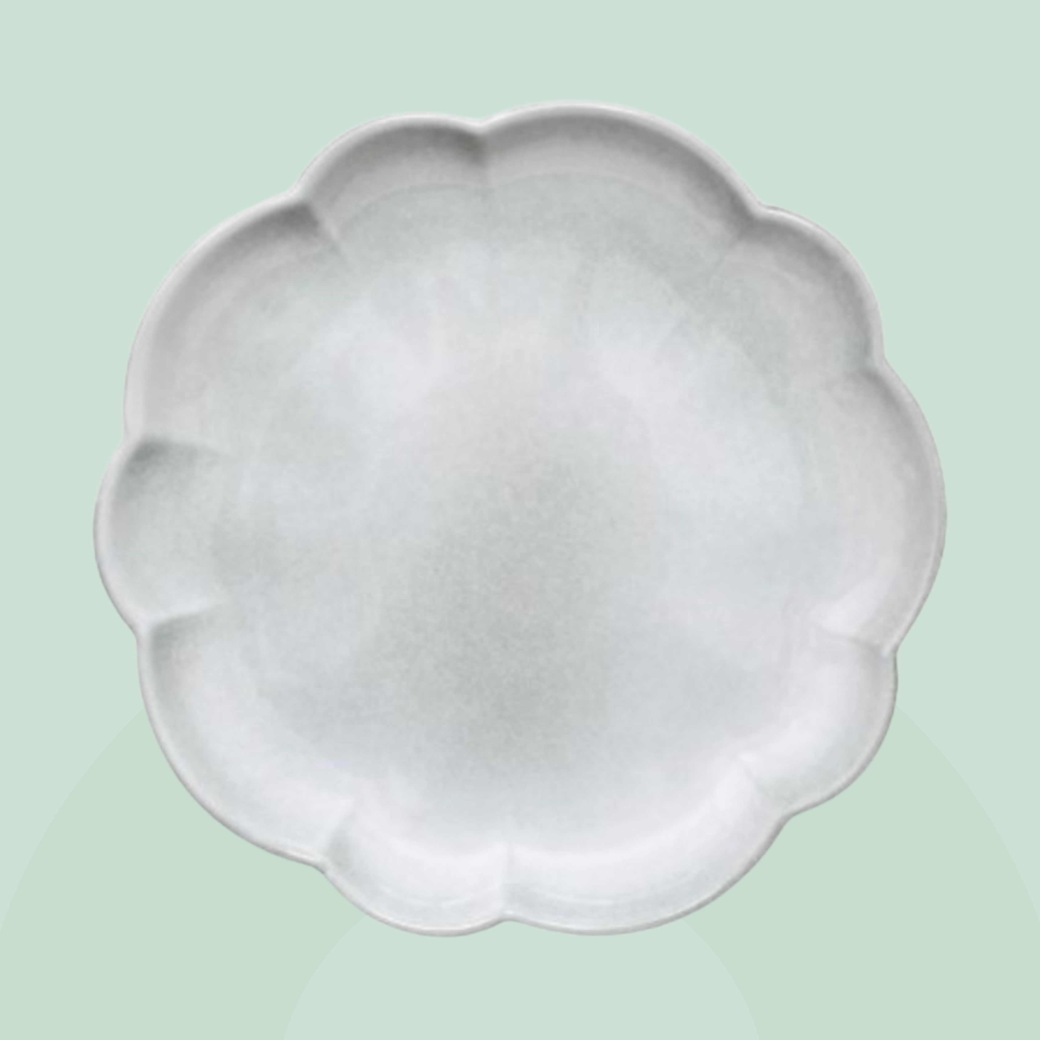 ASSIETTE PLATE CELADON