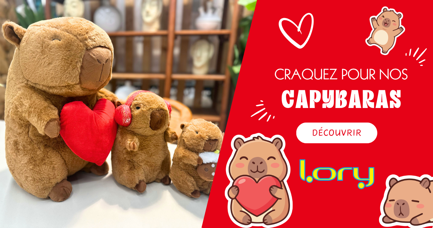 Craquez pour nos Capybaras